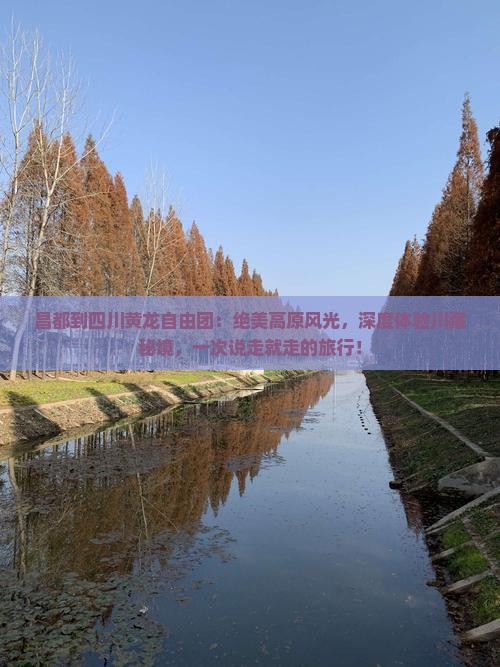 昌都到四川黄龙自由团
