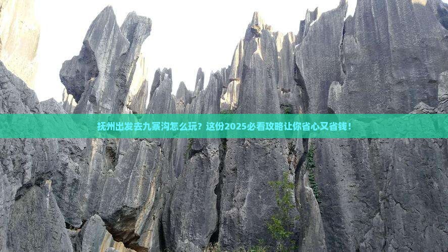 抚州去四川九寨沟旅游