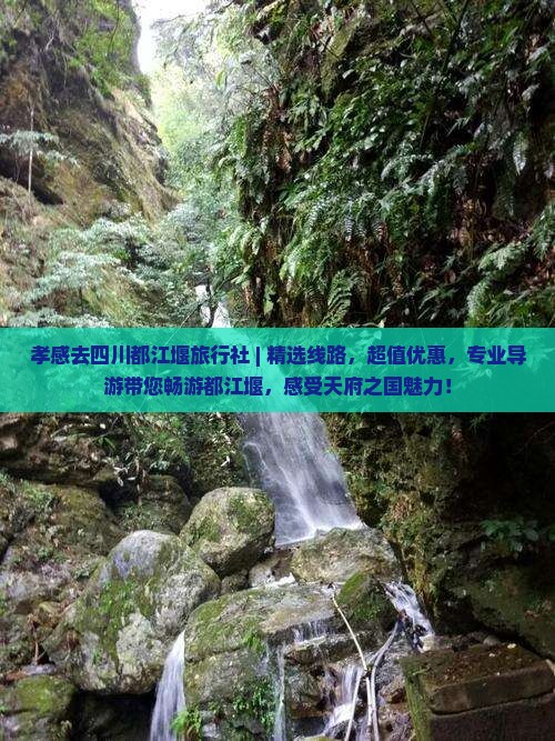 孝感去四川都江堰旅行社