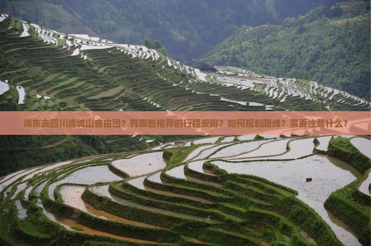 海东去四川青城山自由团