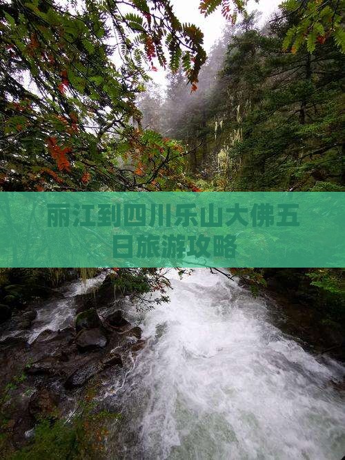 丽江去四川乐山大佛五日游