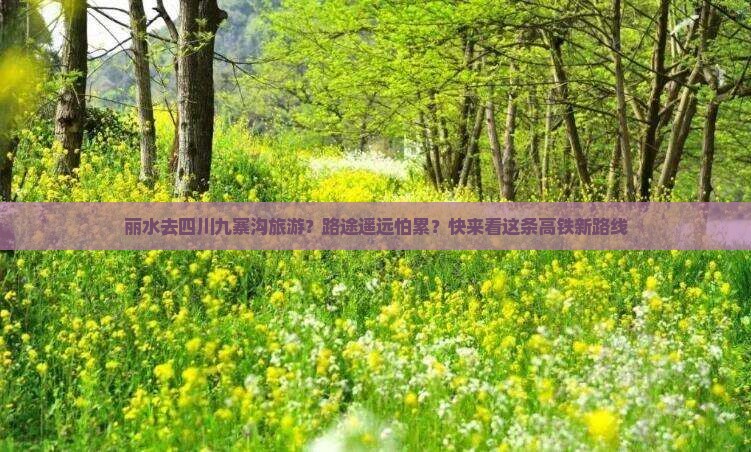 丽水去四川九寨沟旅游