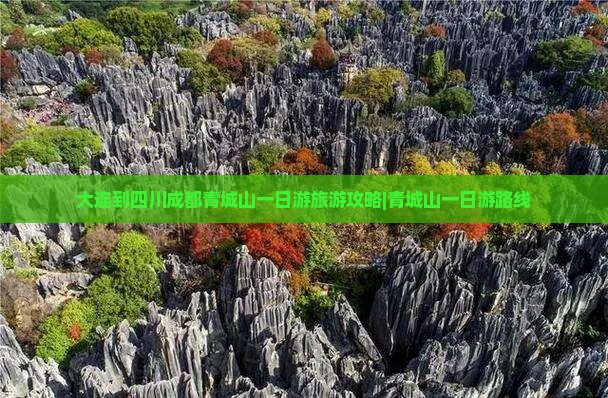 大连去四川青城山一日