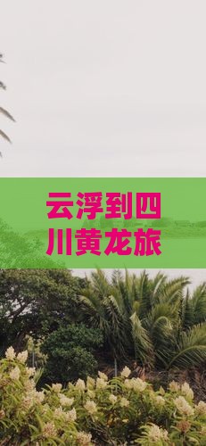 云浮到四川黄龙旅行社