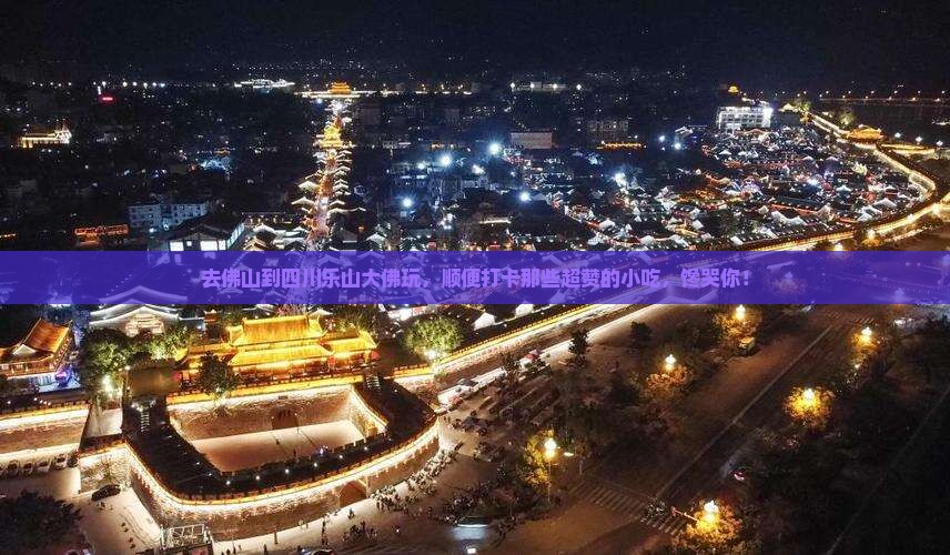 佛山去四川乐山大佛旅游小吃