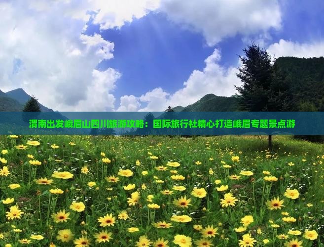 渭南去四川峨眉山景点