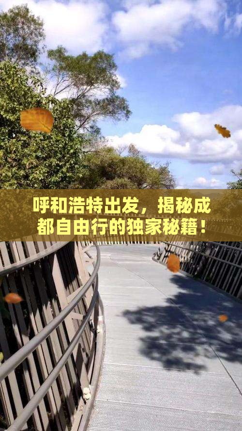呼和浩特到四川成都自由团