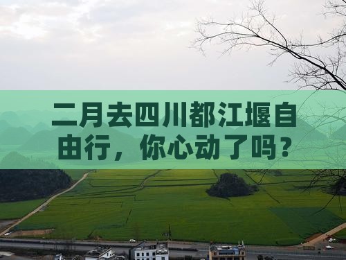 二月去四川都江堰自由团
