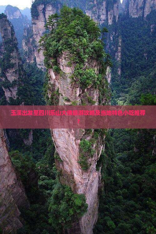 玉溪到四川乐山大佛旅游小吃