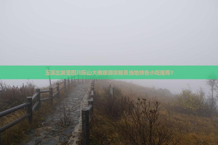 玉溪到四川乐山大佛旅游小吃