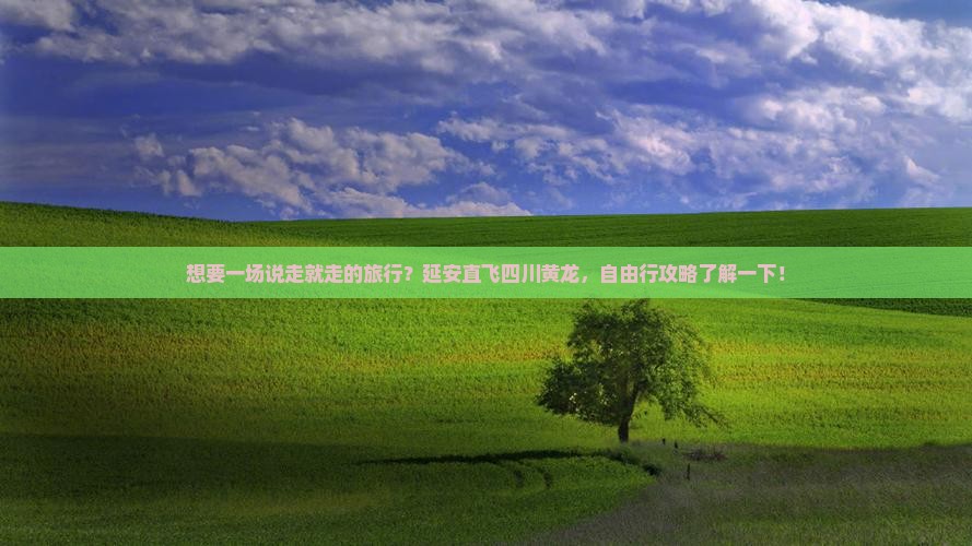延安去四川黄龙自由团