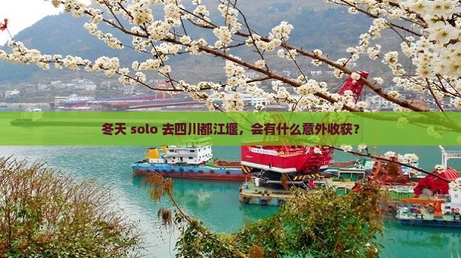 冬天去四川都江堰个人游