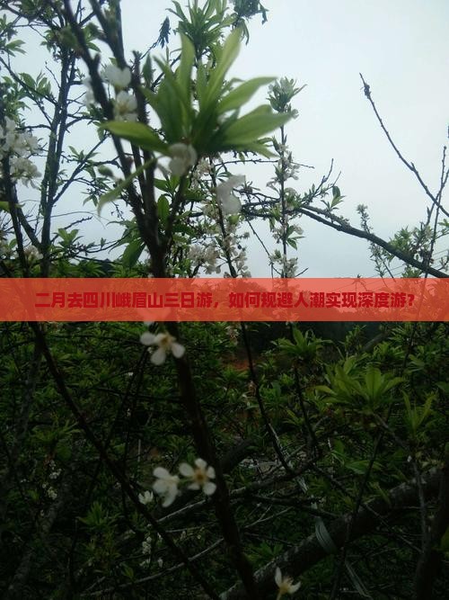 二月去四川峨眉山三日游