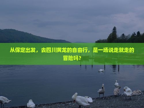 保定去四川黄龙自由行