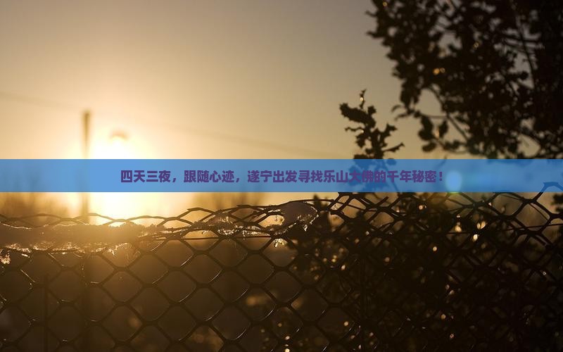 遂宁去四川乐山大佛四日游