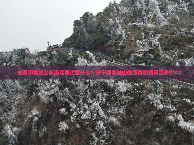 济宁去四川青城山旅游