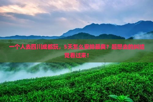 黄石去四川成都个人游