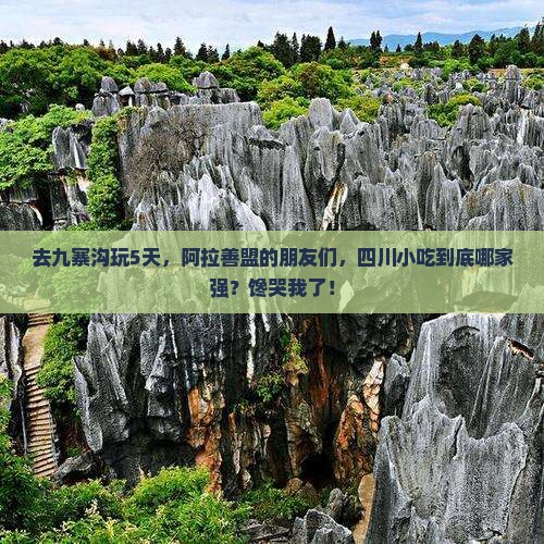 阿拉善盟去四川九寨沟旅游小吃