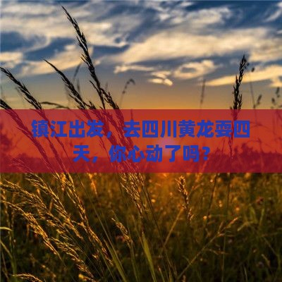 镇江去四川黄龙四日游