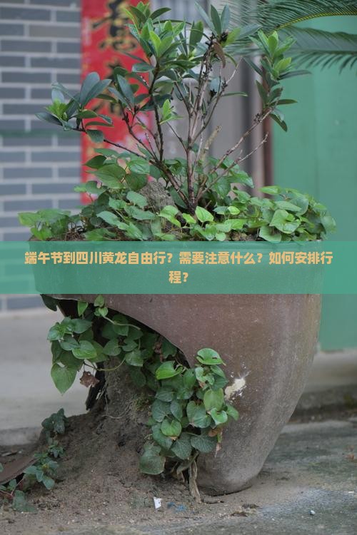 端午节到四川黄龙自由行