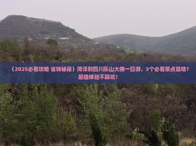 菏泽到四川乐山大佛一日