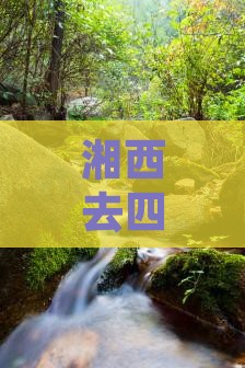 湘西去四川乐山大佛自由团