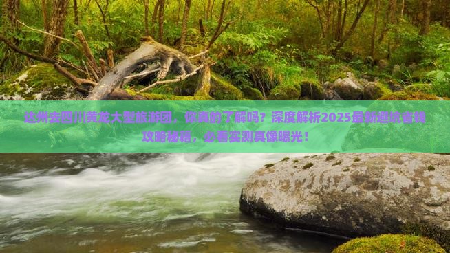 达州去四川黄龙大型旅游团