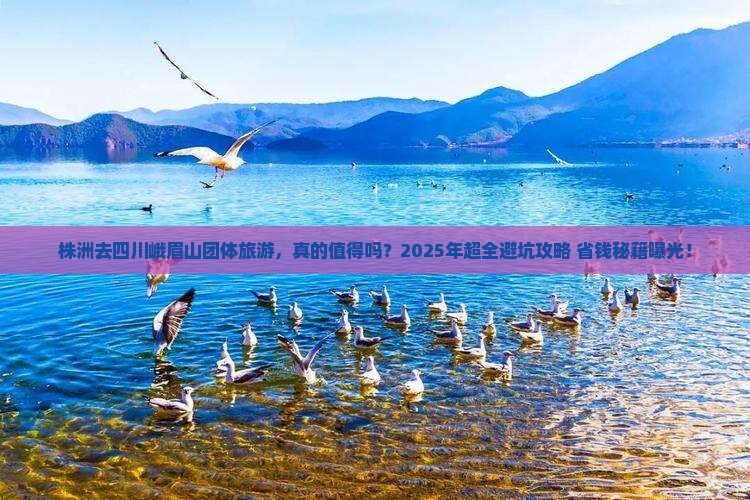 株洲去四川峨眉山团体旅游