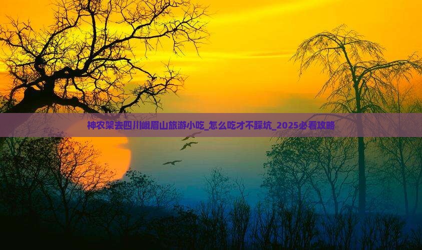 神农架去四川峨眉山旅游小吃