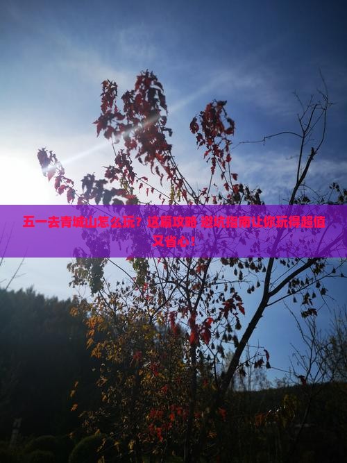 劳动节去四川青城山攻略