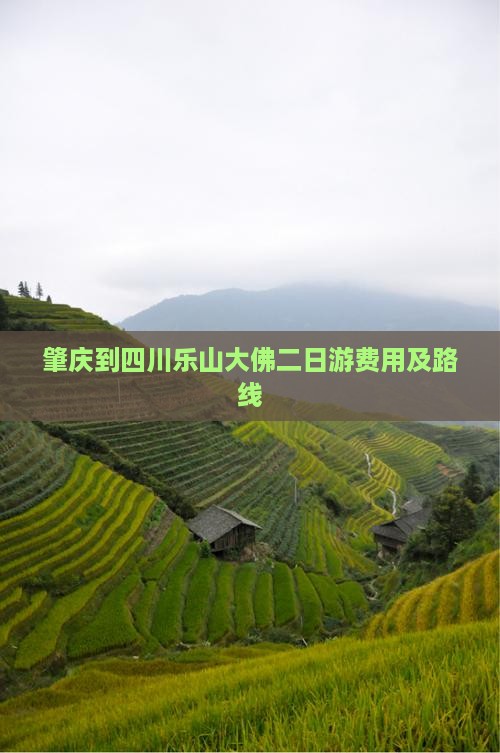 肇庆到四川乐山大佛二日游