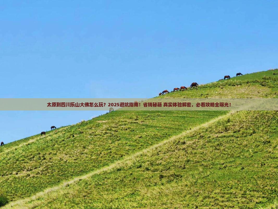 太原到四川乐山大佛哪里玩