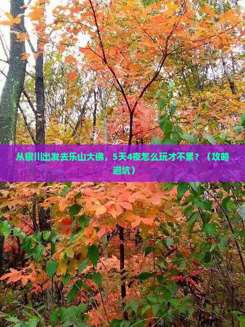 银川到四川乐山大佛自由行