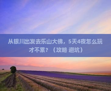 银川到四川乐山大佛自由行