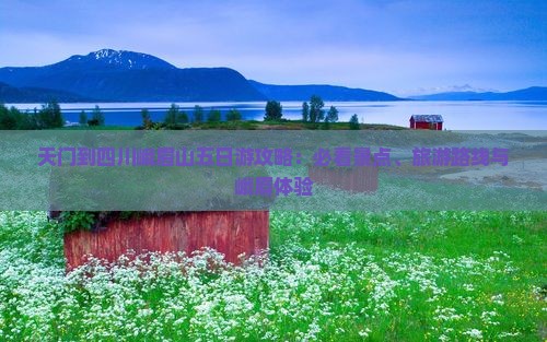 天门到四川峨眉山五日游