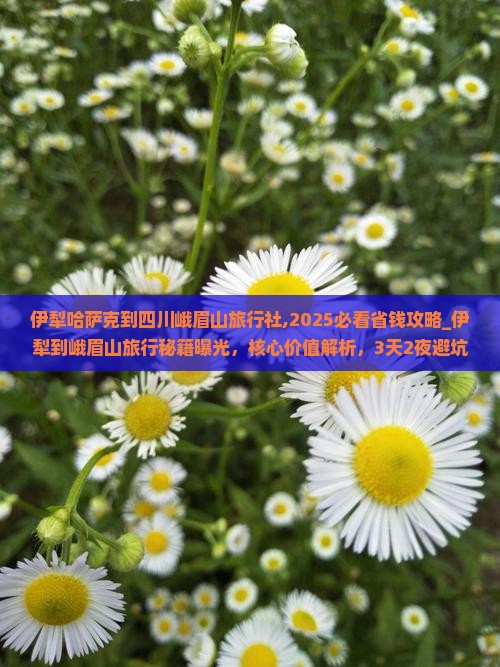 伊犁哈萨克到四川峨眉山旅行社