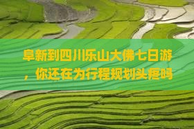 阜新到四川乐山大佛七日游