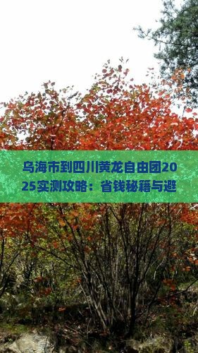 乌海市到四川黄龙自由团