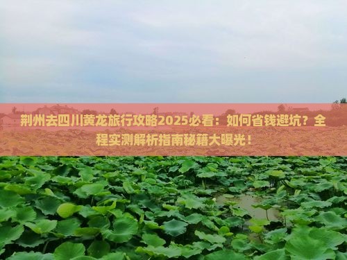 荆州去四川黄龙旅行社
