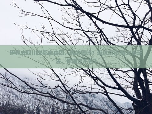 伊春去四川成都自由团 伊春去四川成都自由团