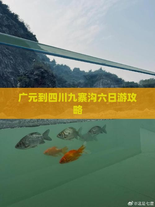 广元到四川九寨沟六日游