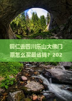 铜仁去四川乐山大佛门票