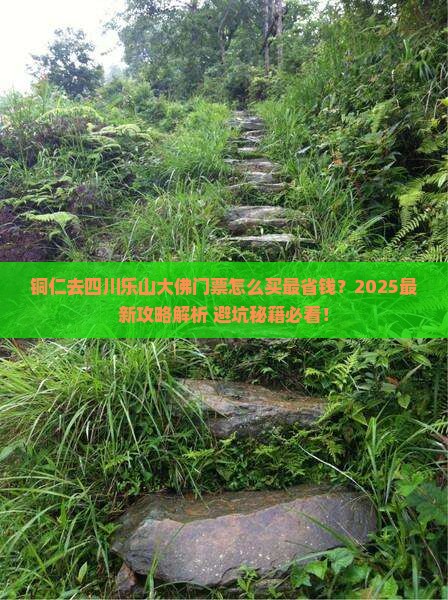 铜仁去四川乐山大佛门票