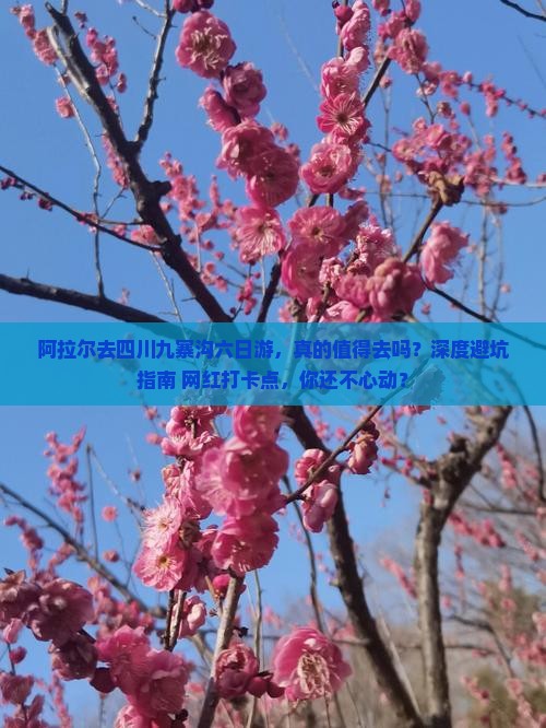 阿拉尔去四川九寨沟六日游