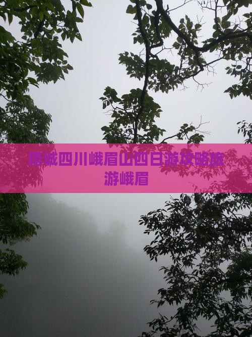 塔城去四川峨眉山四日游