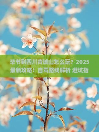 毕节到四川青城山哪里玩