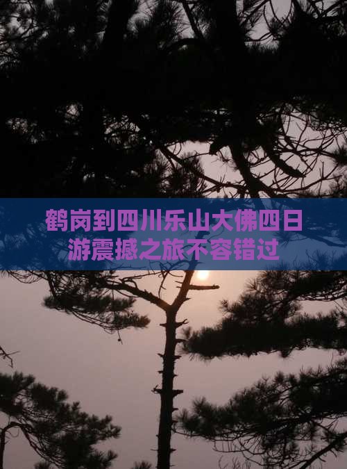 鹤岗到四川乐山大佛四日游