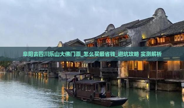 阜阳去四川乐山大佛门票