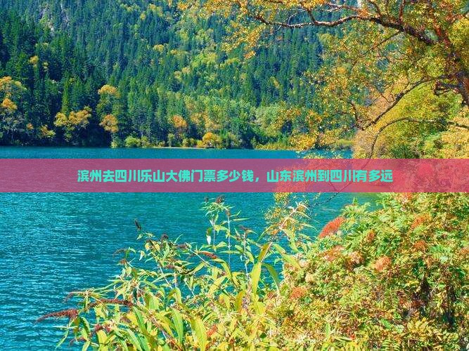 滨州去四川乐山大佛门票