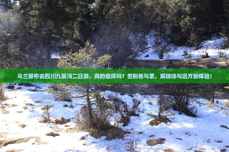 乌兰察布去四川九寨沟二日游